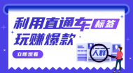 利用直通车标签玩赚爆款