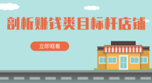 竞争数据：剖析赚钱类目标杆店铺