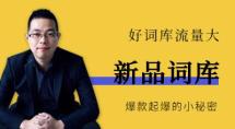 新品词库：爆款起爆的小秘密