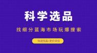 科学选品：找细分蓝海市场玩爆搜索